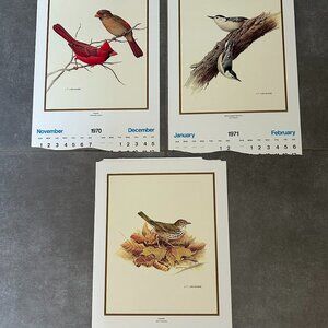 Vintage 1970 & 1971  Calendar Prints J.F. Lansdowne Birds